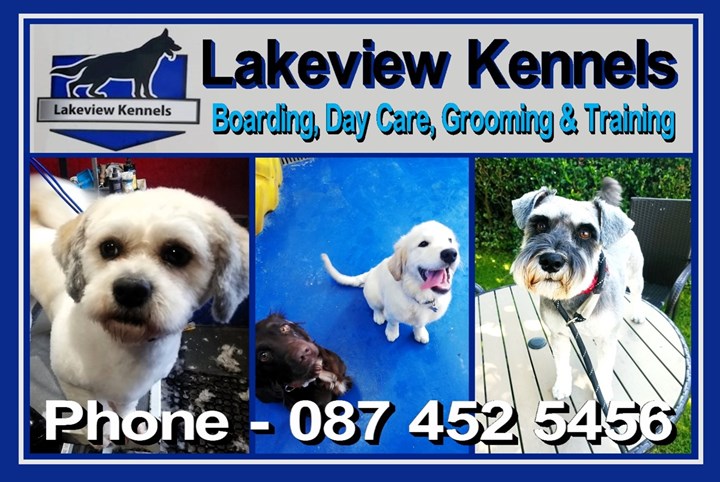 Dog Boarding Kennels Carrickmacross - Lakeview Kennels