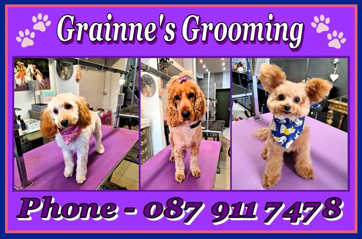 Dog grooming Sowrds, North County Dublin - Grainne's Grooming