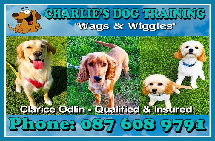 Dog Training Cavan - Charlie’s Dog Training 