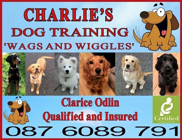 Image of Charlie's Dog Training header, dog training in Monaghan is available from Charlie's Dog Training 