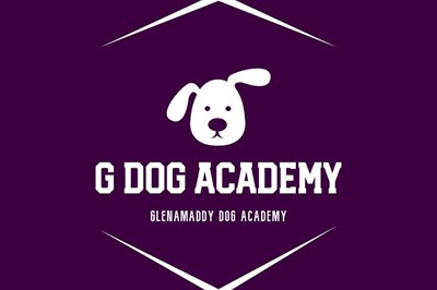 Galway dog training -