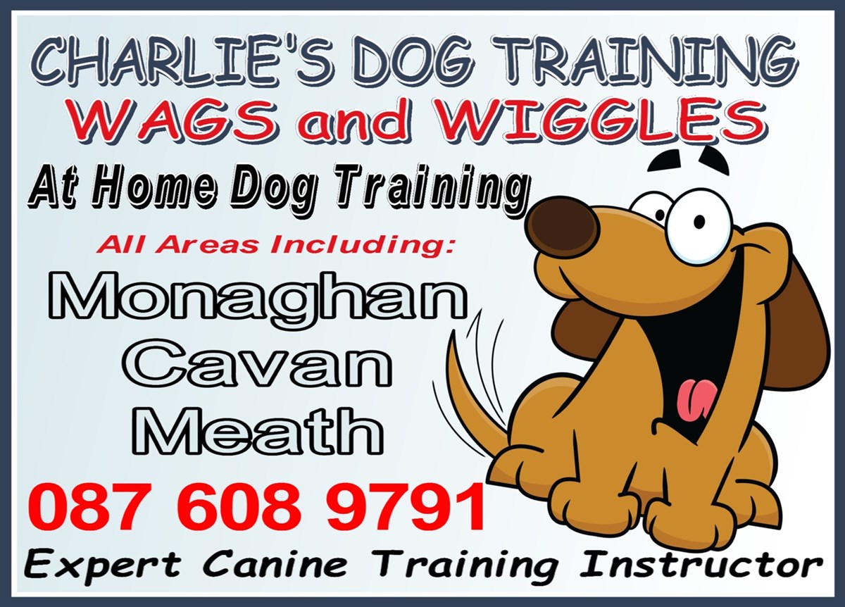 Dog and puppy training in Cavan - Charlie's Dog Training