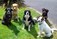 Dog Training, Puppy Training, Monaghan.