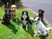 Dog Training, Puppy Training, Monaghan.