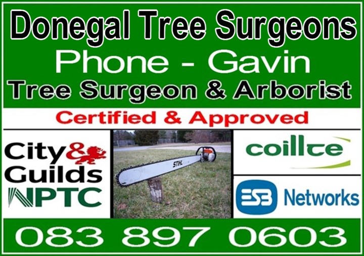 Donegal Tree Surgeons logo