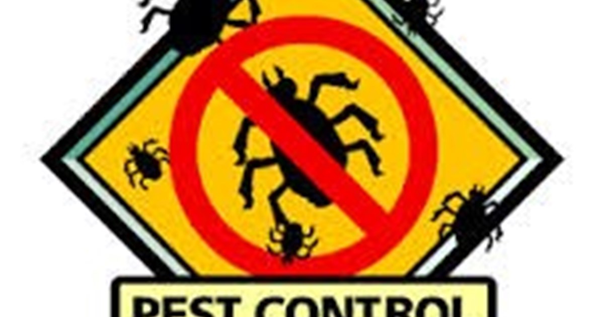 Hygiene Pest Control Drogheda Our.ie