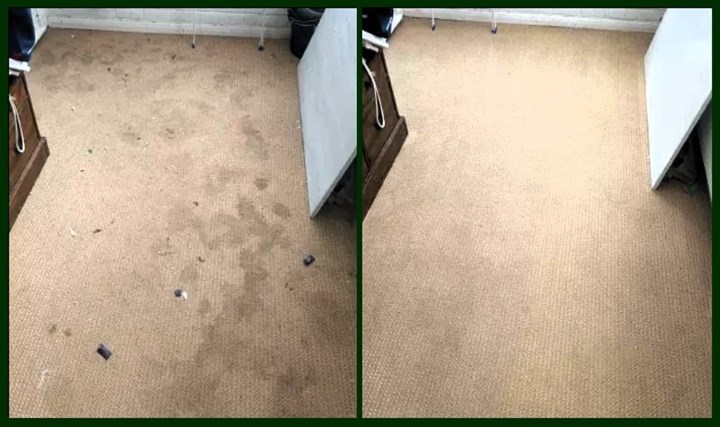 Dry carpet cleaning in Limerick carried out by ProDry