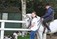 Horse Riding Lessons Navan. Fergus O'Connor