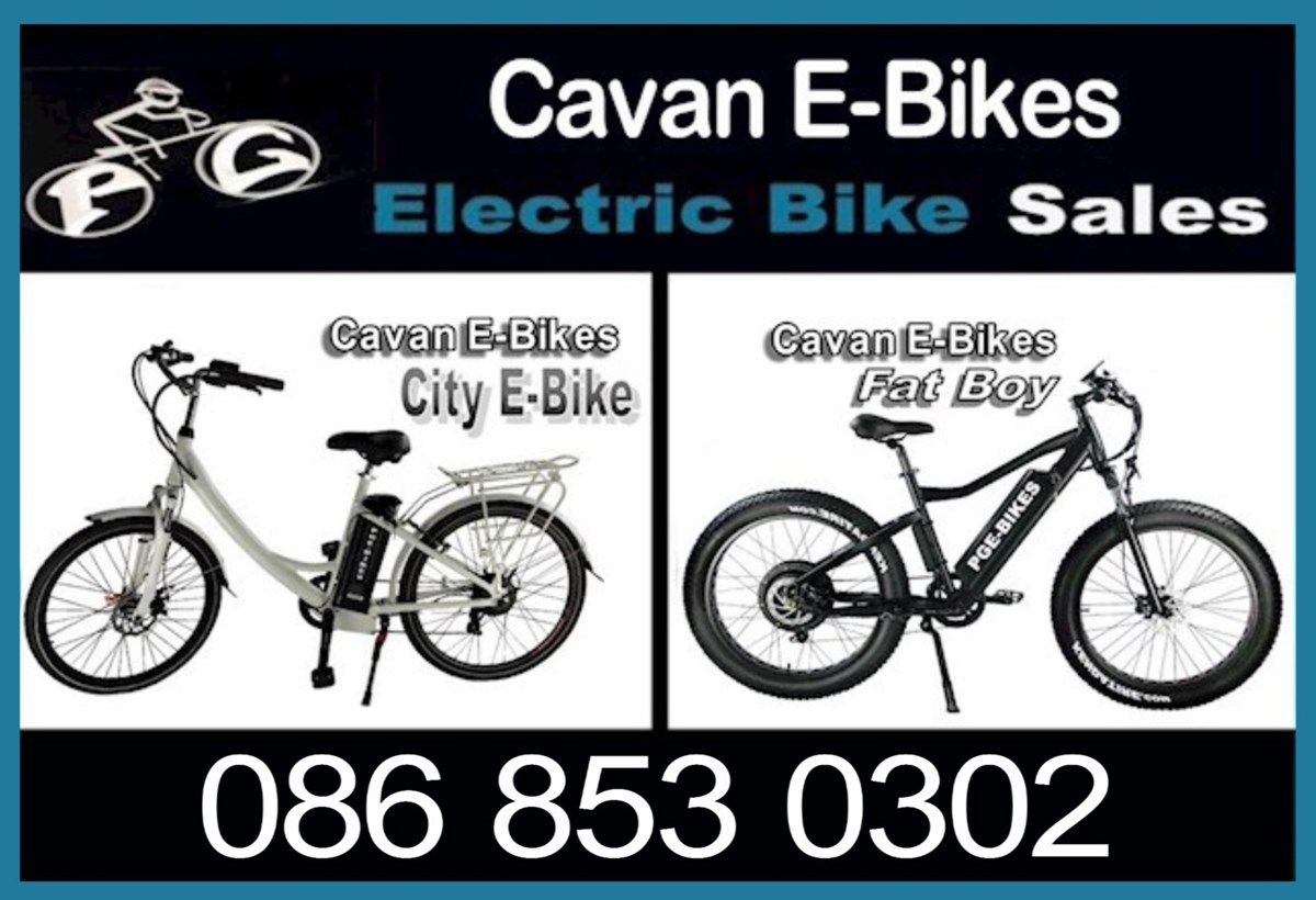 Electric bikes for sale in Cavan