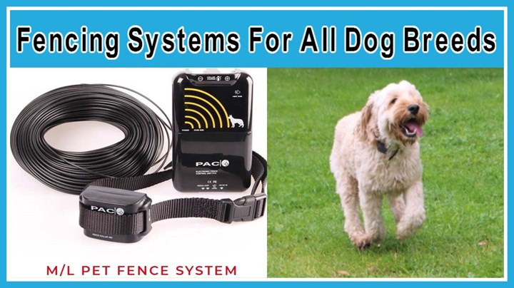 Electronic dog fences Sligo