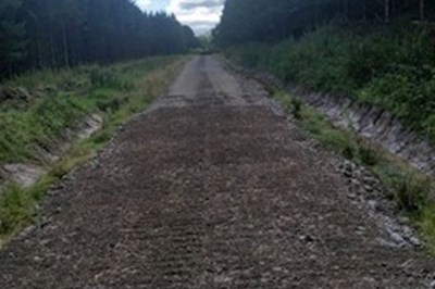 Longford Forestry Contractor -