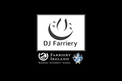 Farrier Kildare. DJ Farriery