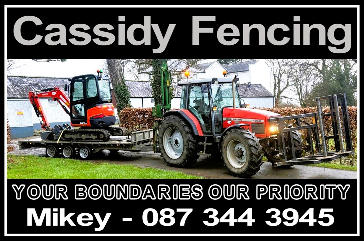 Fencing contractor in Kildare logo
