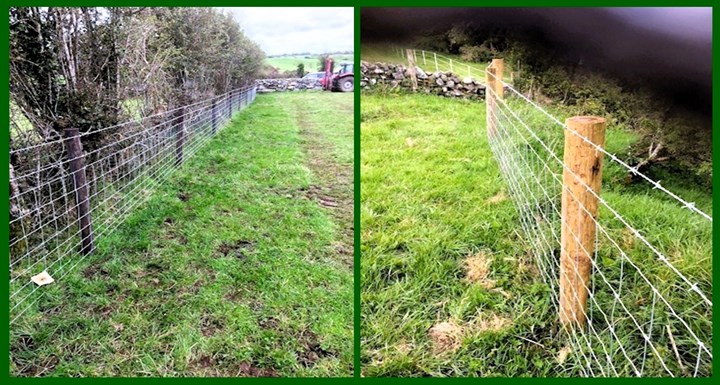 Fencing Contractor Mayo - Martin O'Reilly