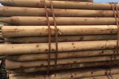 Mayo fencing services -