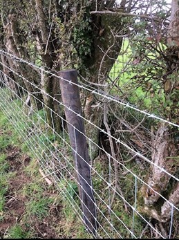 Agricultural fencing County Mayo