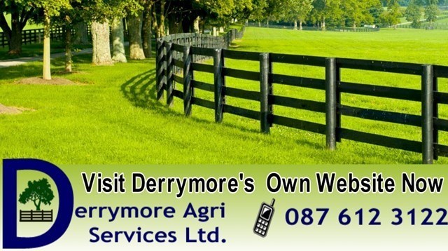Fencing contractor Laois, logo