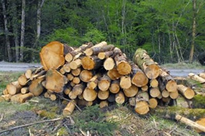 Firewood Mullingar, Athlone, Kinnegad