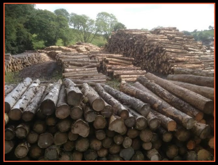 Firewood in Drogheda, Laytown and Bettystown is supplied by Top Logs