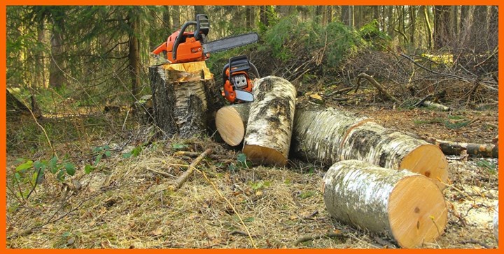 Firewood in Westmeath is supplied and delivered by BK Firewood