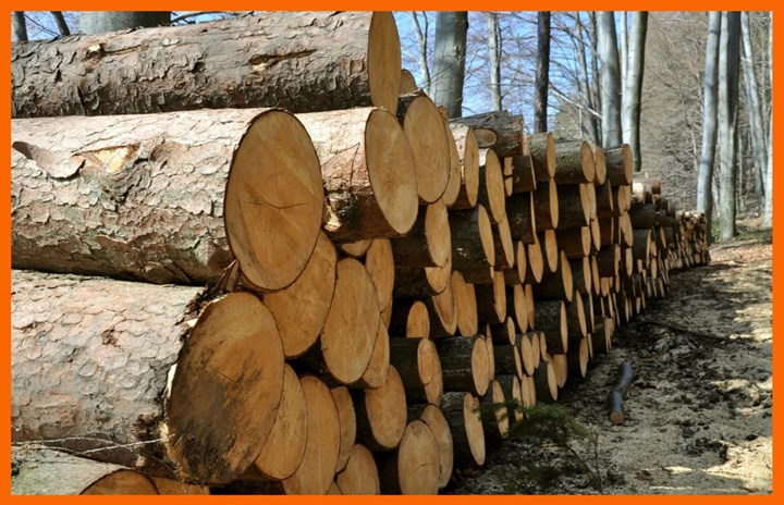 Firewood in Westmeath is supplied and delivered by BK Firewood