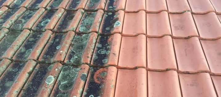 First Choice Cleaning Solution - roof cleaning