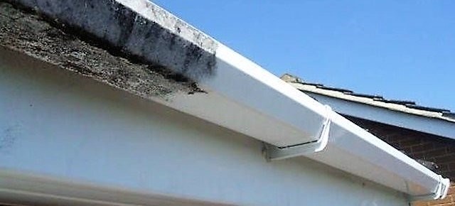 First Choice Cleaning Solutions - gutter cleaning