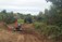 Forestry Contractor Offaly