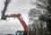 Forestry Contractor Offaly