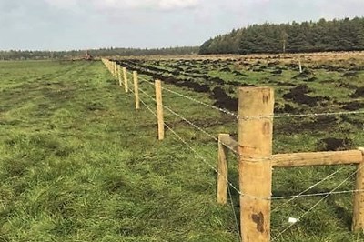 Westmeath forestry contractors -