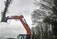 Forestry Contractor Westmeath