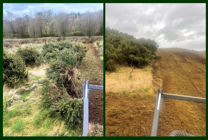 Tree Maintenance & Forestry Services - Louth, Meath