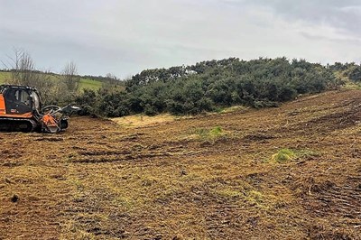 Cavan, Monaghan, Leitrim Forestry Services -