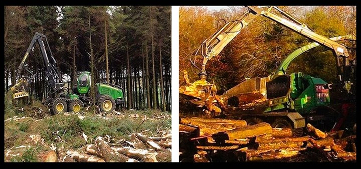 Forestry services in Armagh