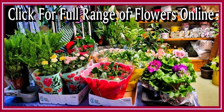 Online Flower Shop - Floral Creations West Cork