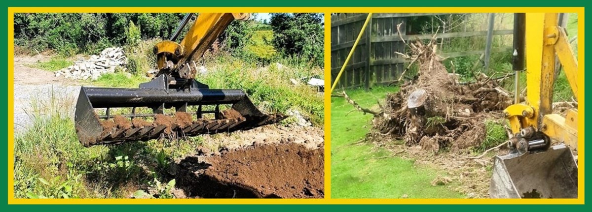 Root removal and stump removal in Limerick