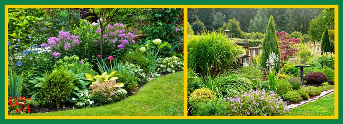 Garden replanting in Limerick