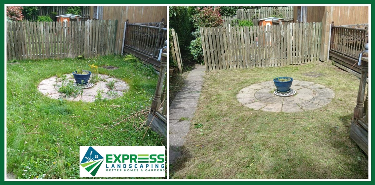 Garden clearance services in Wexford