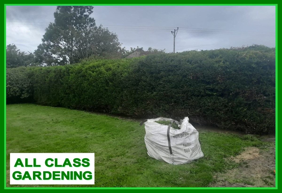 Garden clearance in Clonmel and Carrick-on-Suir