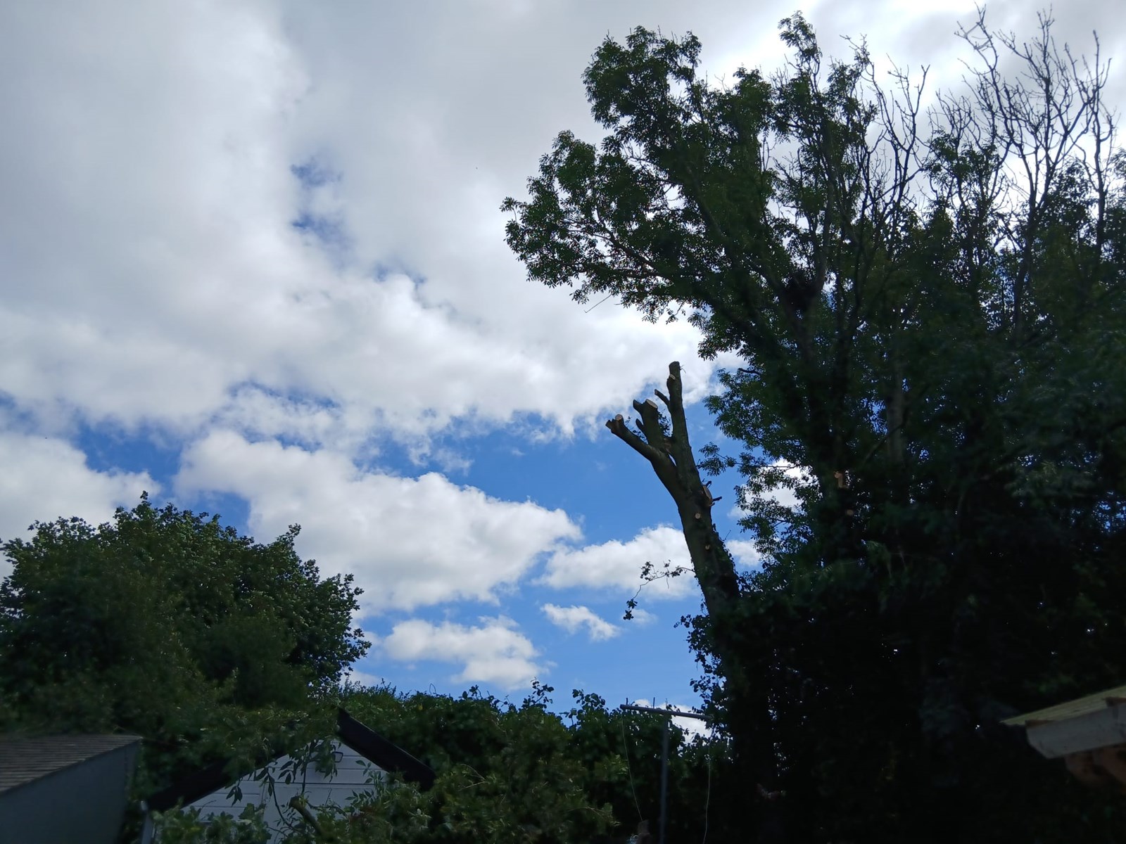 Garden Clearance Wexford