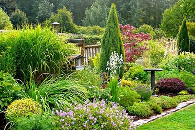 Garden Clearances Limerick