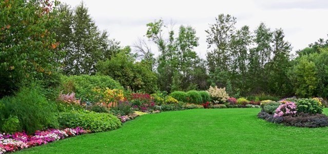 Landscaping in Carlow