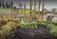 Landscaping  Nursery Carrickmacross