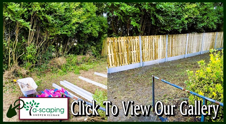 Garden Fencing in Athlone carried out by Garden Landscaping Athlone - A Scaping Landscaping and Garden Maintenance