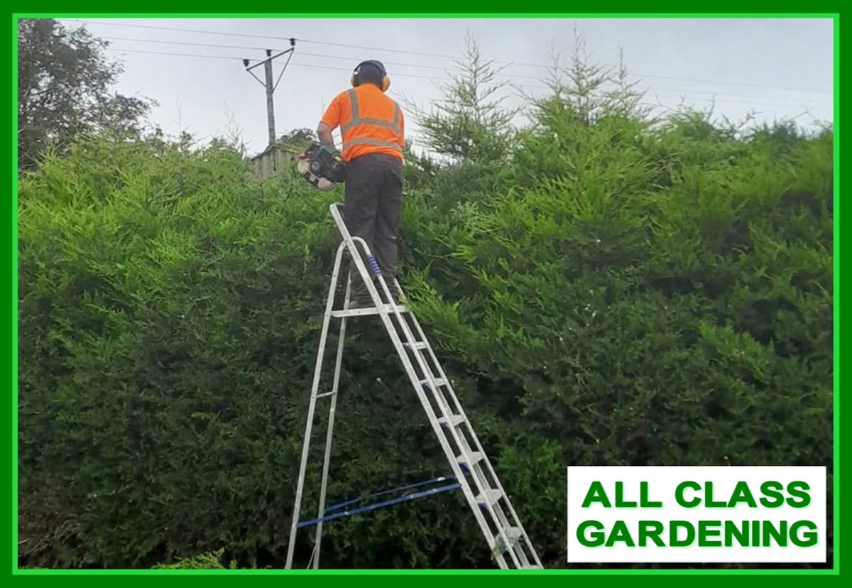 Garden hedge trimming services in Clonmel and Carrick-on-Suir