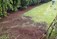 Garden Maintenance Tipperary - John Sheary