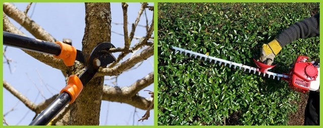 Garden Maintenance Services Tipperary - Tree and Hedge cutting