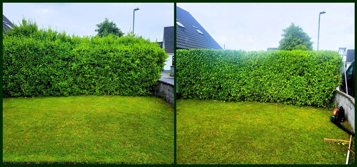 Hedge trimming in Clare carried out by Paul's Property Maintenance