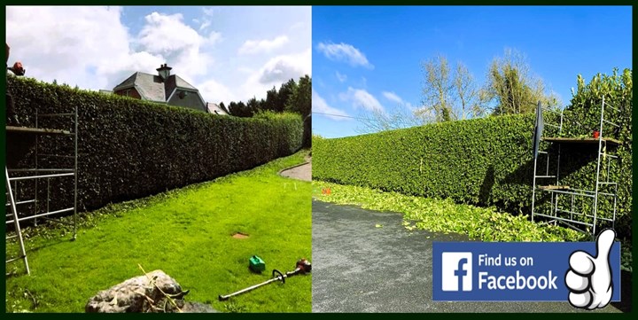 Garden Maintenance in Athlone carried out by Garden Landscaping Athlone - A Scaping Landscaping and Garden Maintenance