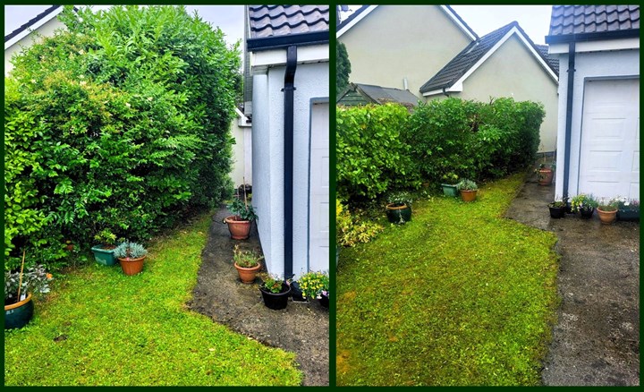 Hedge trimming/Garden Maintenance in Clare carried out by Paul's Property Maintenance